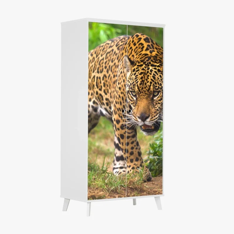 Biophil – Wallnifity®