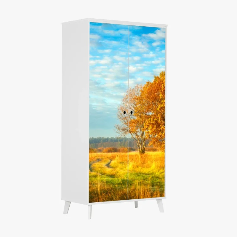 Wiesen – Wallnifity®