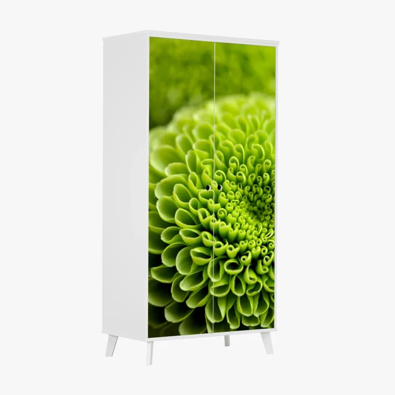 Blumen & Pflanzen – Wallnifity®