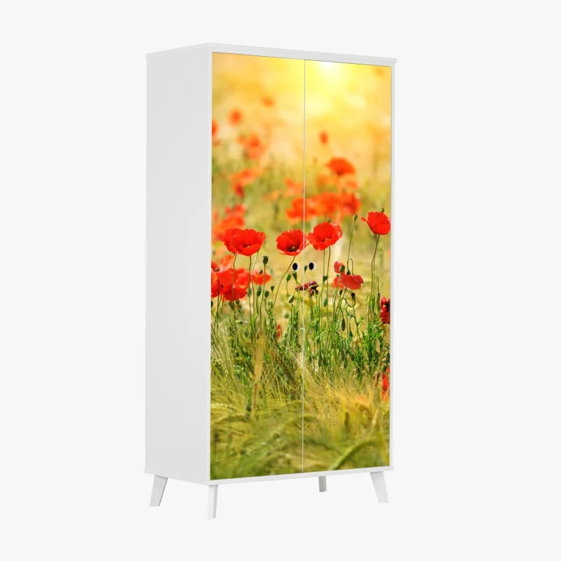 Wiesen – Wallnifity®