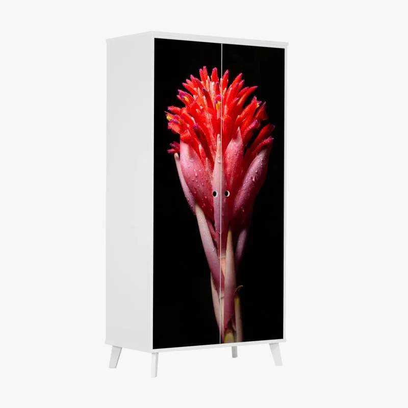 Blumen & Pflanzen – Wallnifity®