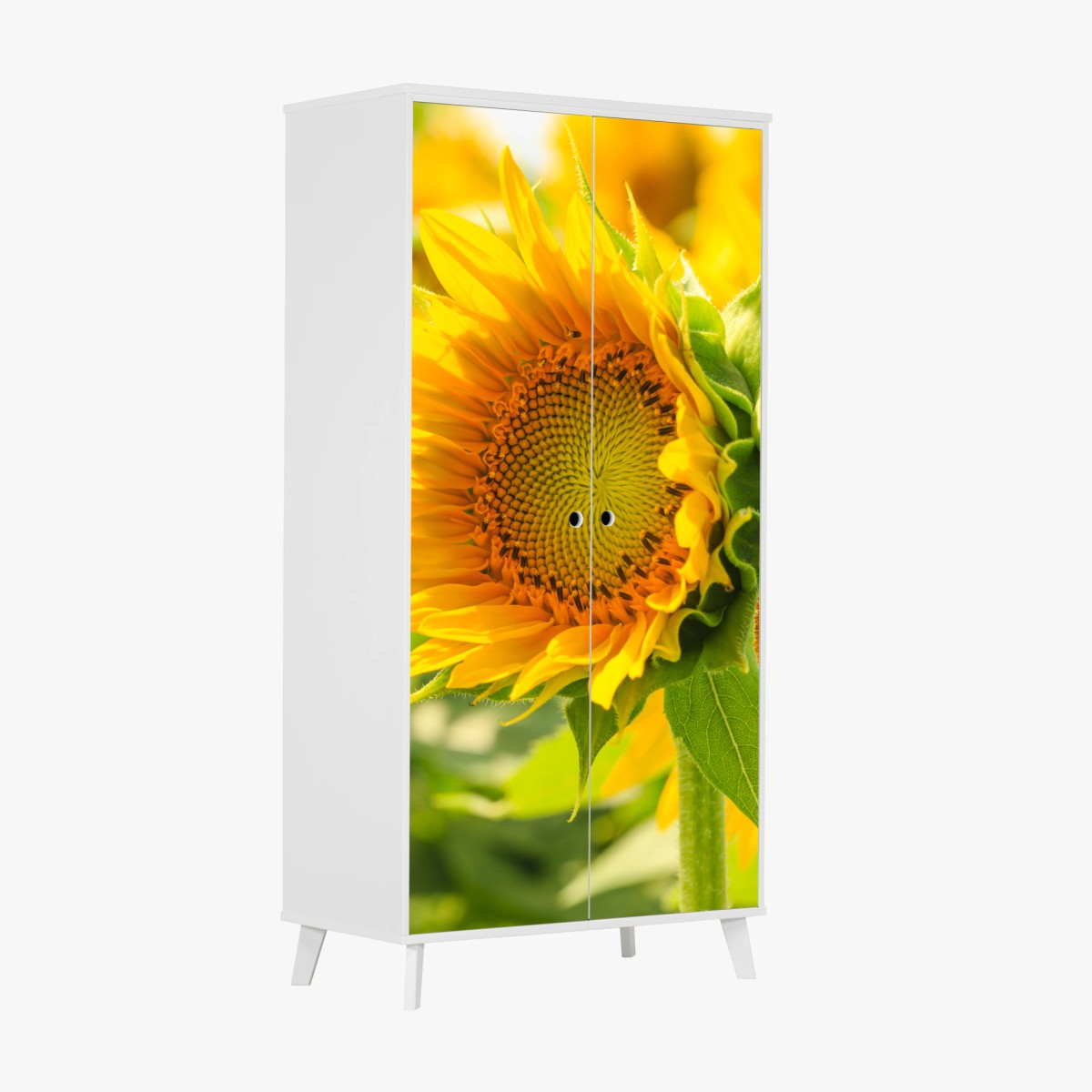 Schrankaufkleber sonnenblume nahaufnahme – Wallnifity®