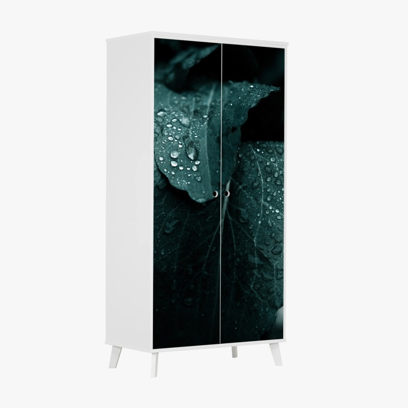 Biophil – Wallnifity®