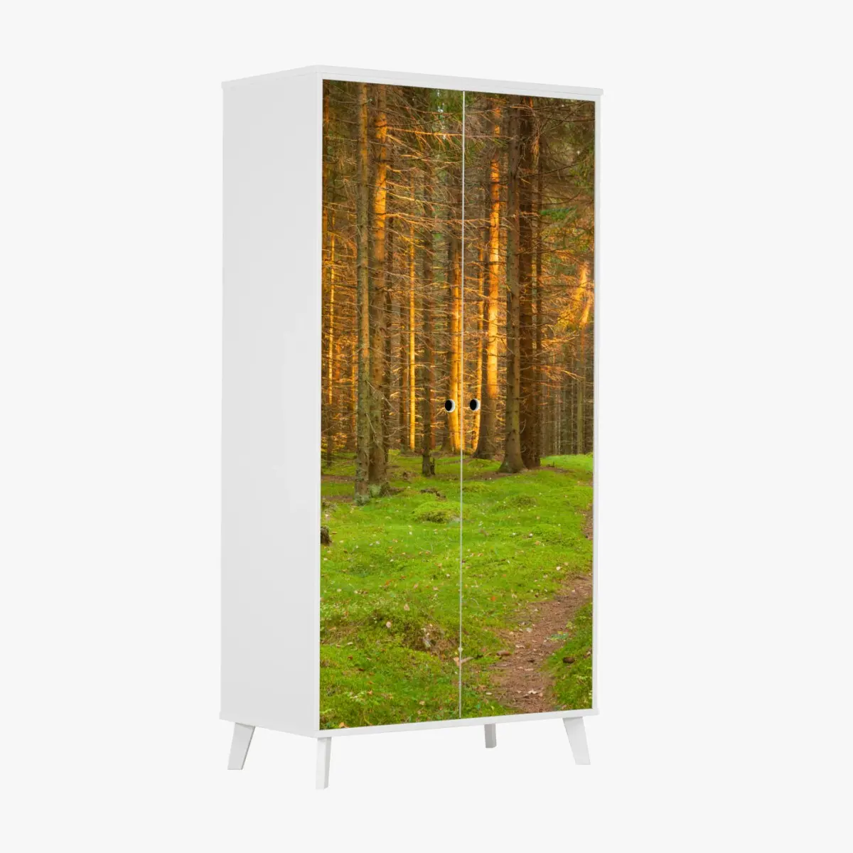 Schrankaufkleber goldenes licht im moosbedeckten kiefernwald – Wallnifity®