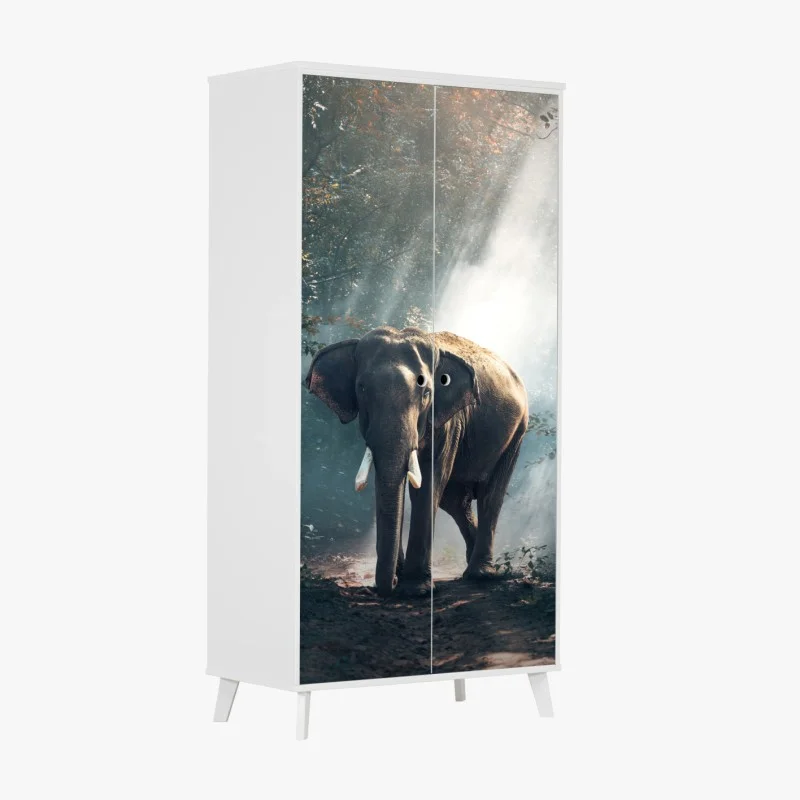 Wildtiere – Wallnifity®