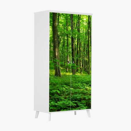 Schrankaufkleber sonniger grüner wald im frühling – Wallnifity®