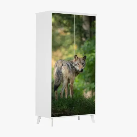 Schrankaufkleber wolf auf der lichtung im wald – Wallnifity®