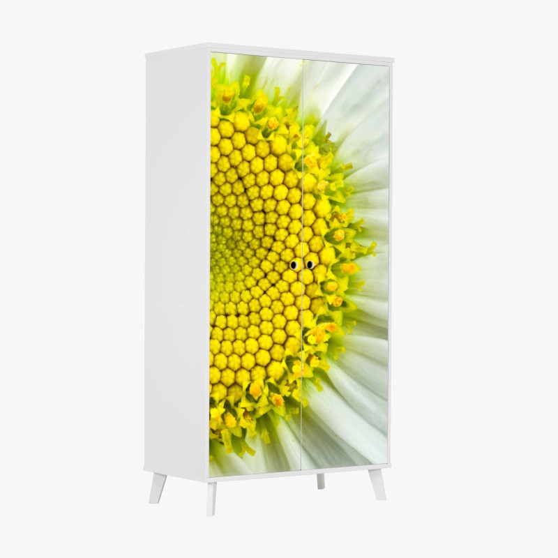 Schrankaufkleber makro gänseblümchen spiralmuster