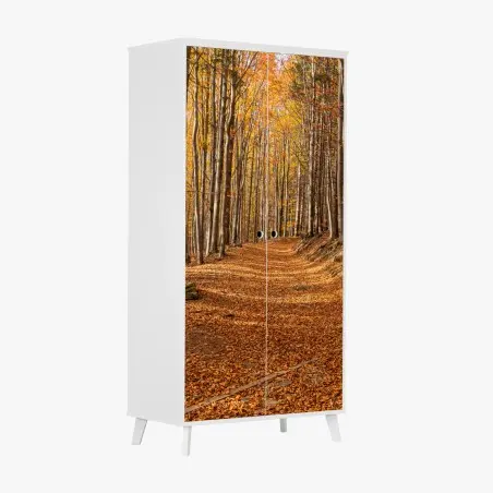 Schrankaufkleber herbstlicher waldweg mit goldenen blättern – Wallnifity®