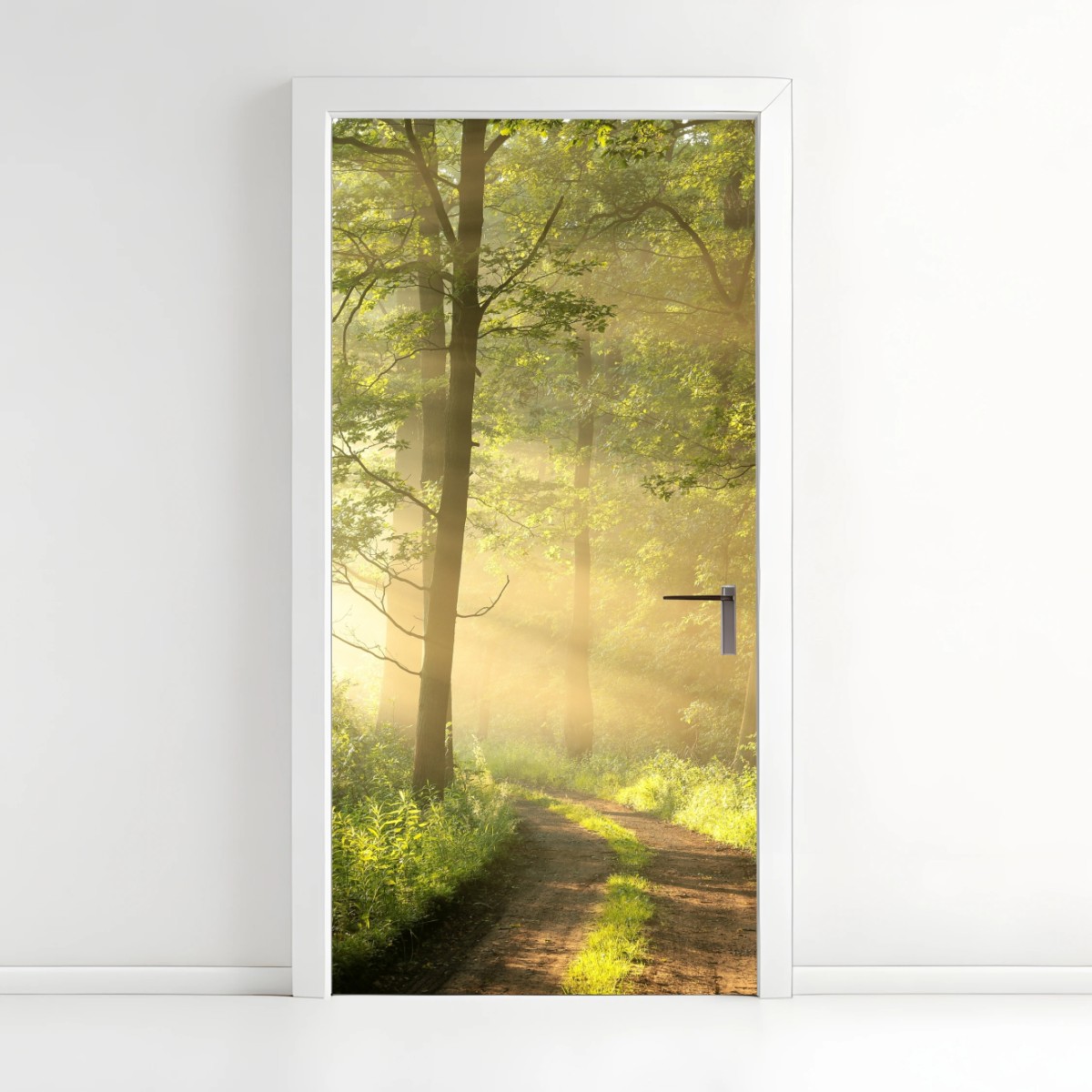 Türaufkleber morgendliches licht im wald – Wallnifity®
