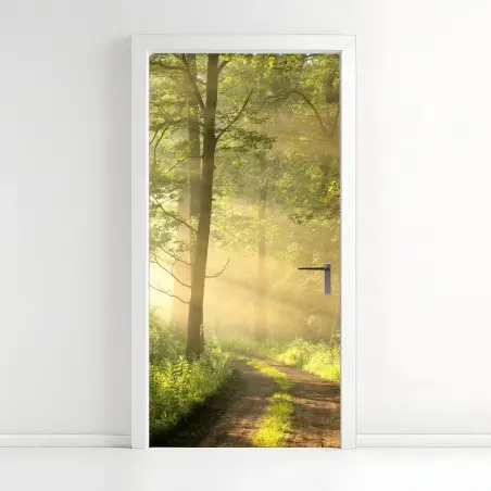 Türaufkleber morgendliches licht im wald – Wallnifity®
