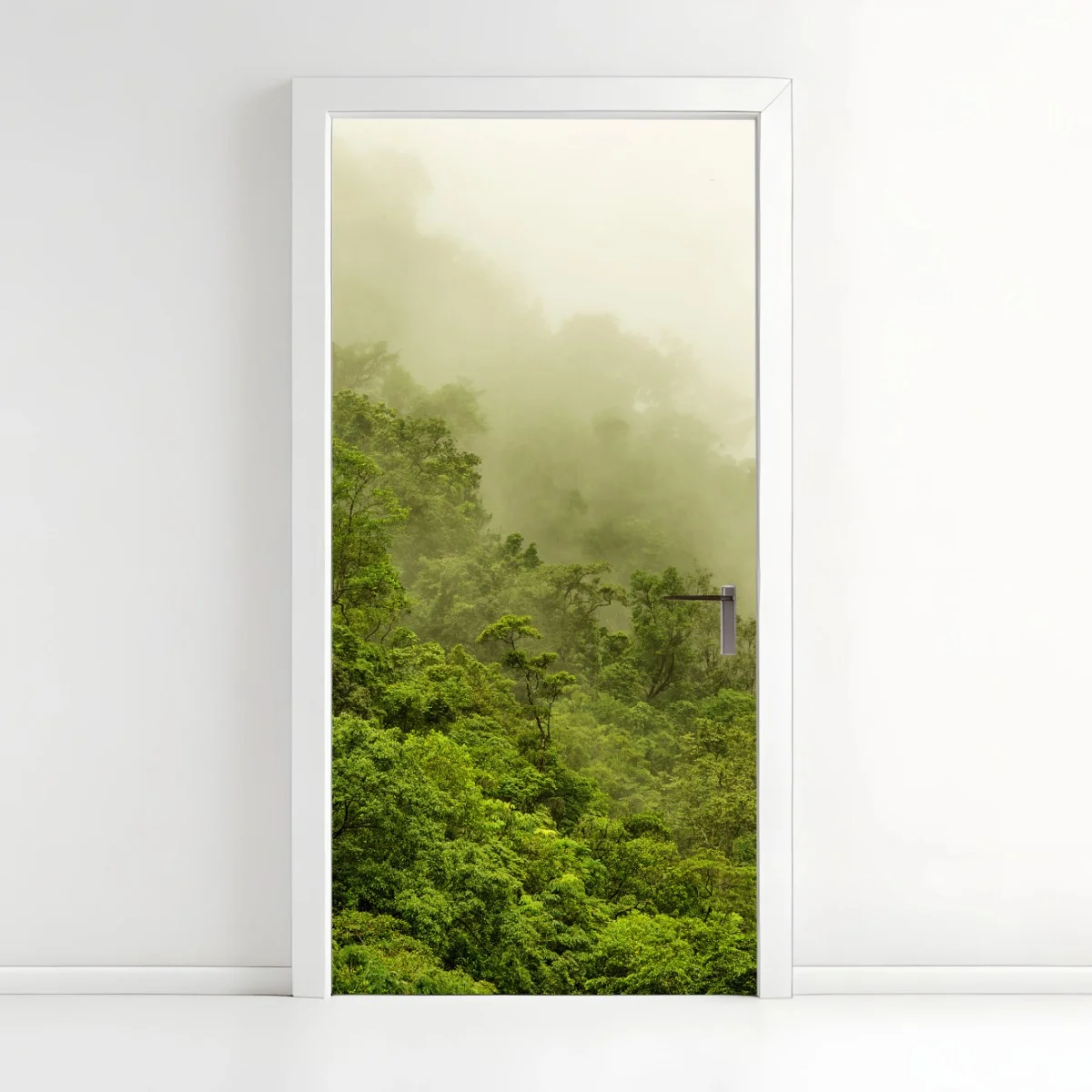 Türaufkleber nebeliger regenwald bei Cairns – Wallnifity® Türaufkleber nebeliger regenwald bei Cairns – Wallnifity®