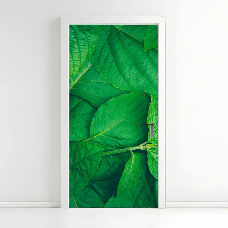 Blumen & Pflanzen – Wallnifity®