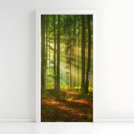 Türaufkleber morgendliches licht im grünen wald – Wallnifity®