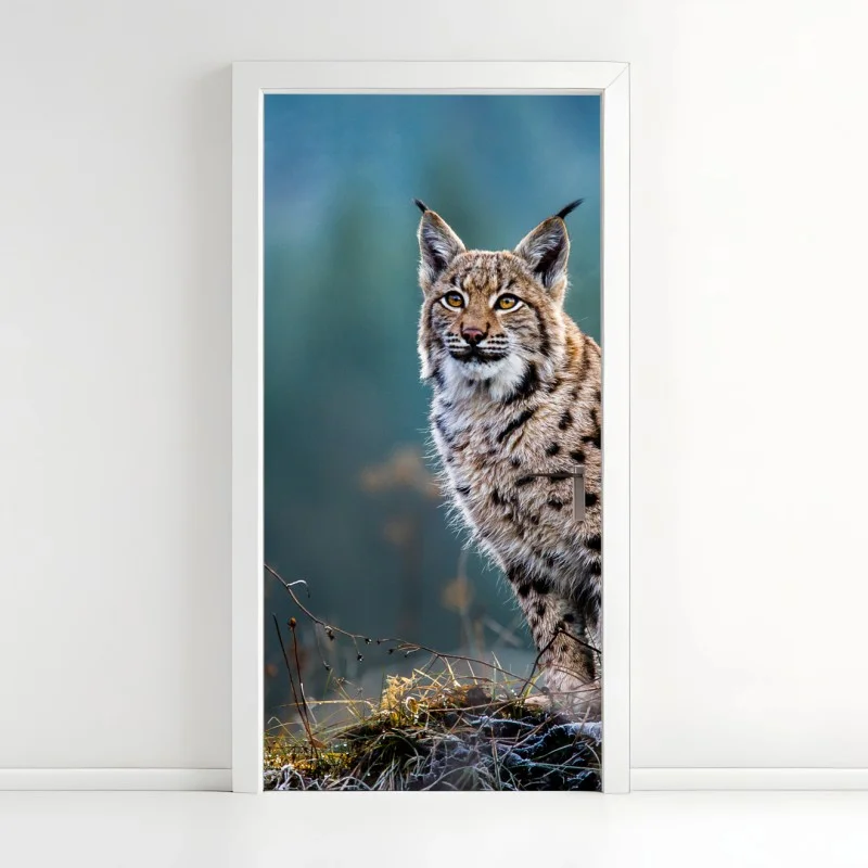 Boho – Wallnifity®