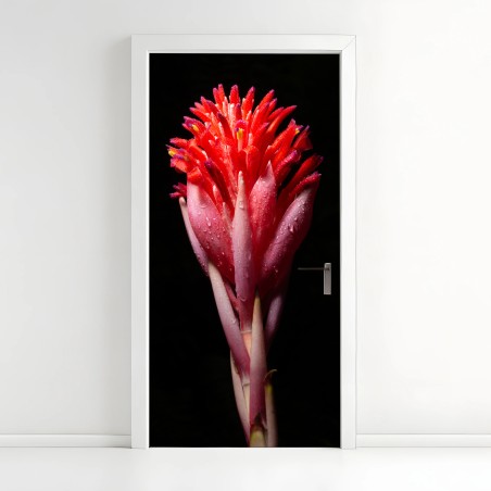 Türaufkleber leuchtende rosa blüte vor schwarzem hintergrund – Wallnifity®