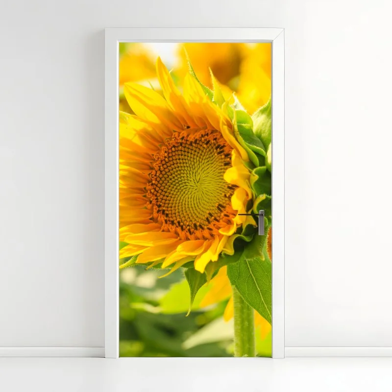 Türaufkleber sonnenblume nahaufnahme