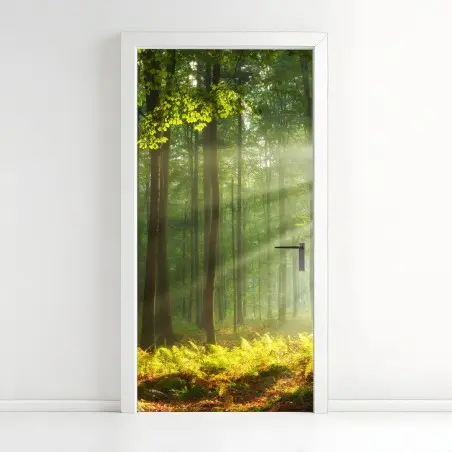 Türaufkleber sonniger morgenwald – Wallnifity®