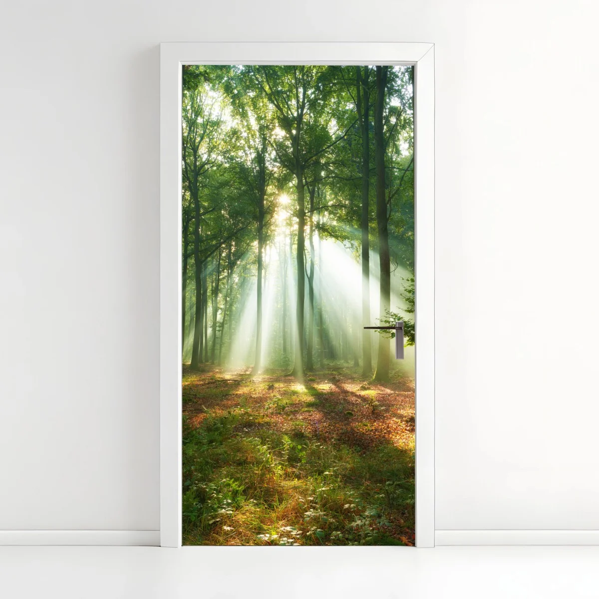 Türaufkleber morgendliches licht im wald – Wallnifity® Türaufkleber morgendliches licht im wald – Wallnifity®