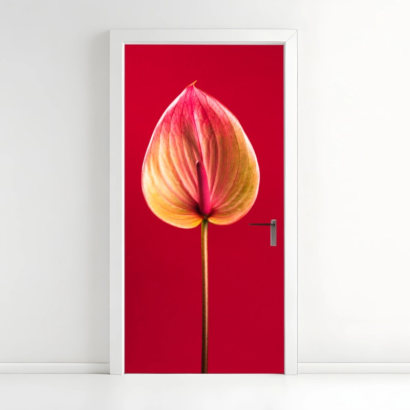 Blumen & Pflanzen – Wallnifity®