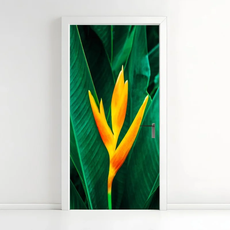 Biophil – Wallnifity®