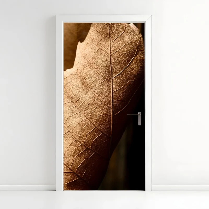 Biophil – Wallnifity®