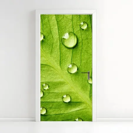 Türaufkleber frisches grünes blatt mit wassertropfen – Wallnifity®