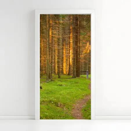 Türaufkleber goldenes licht im moosbedeckten kiefernwald – Wallnifity®