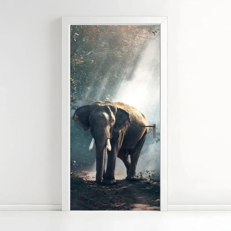 Wildtiere – Wallnifity®