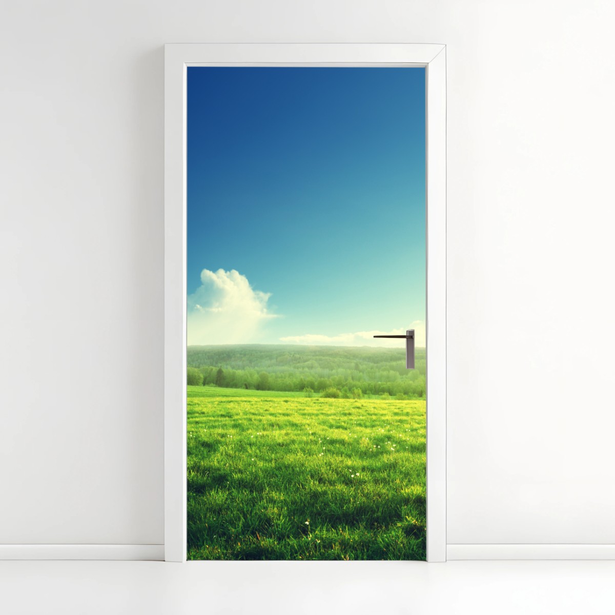 Türaufkleber sonnige frühlingswiese im abendlicht – Wallnifity®