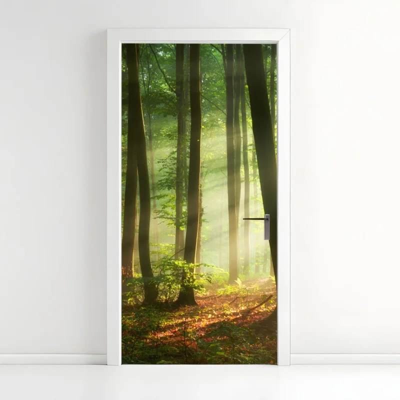 Türaufkleber sonnenbeschienener morgenwald