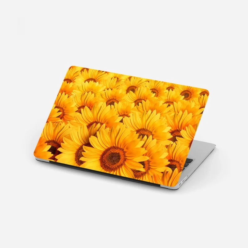 Biophil – Wallnifity®