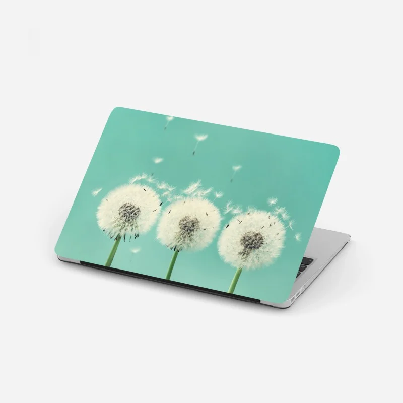 Minimalistisch – Wallnifity®