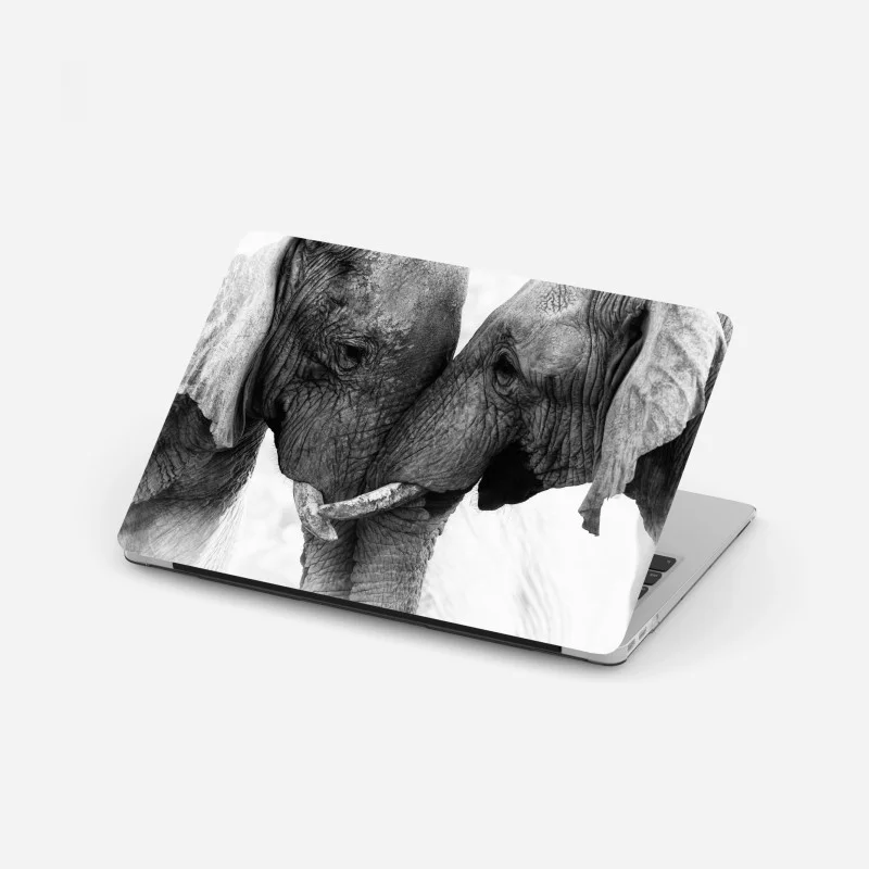 Biophil – Wallnifity®