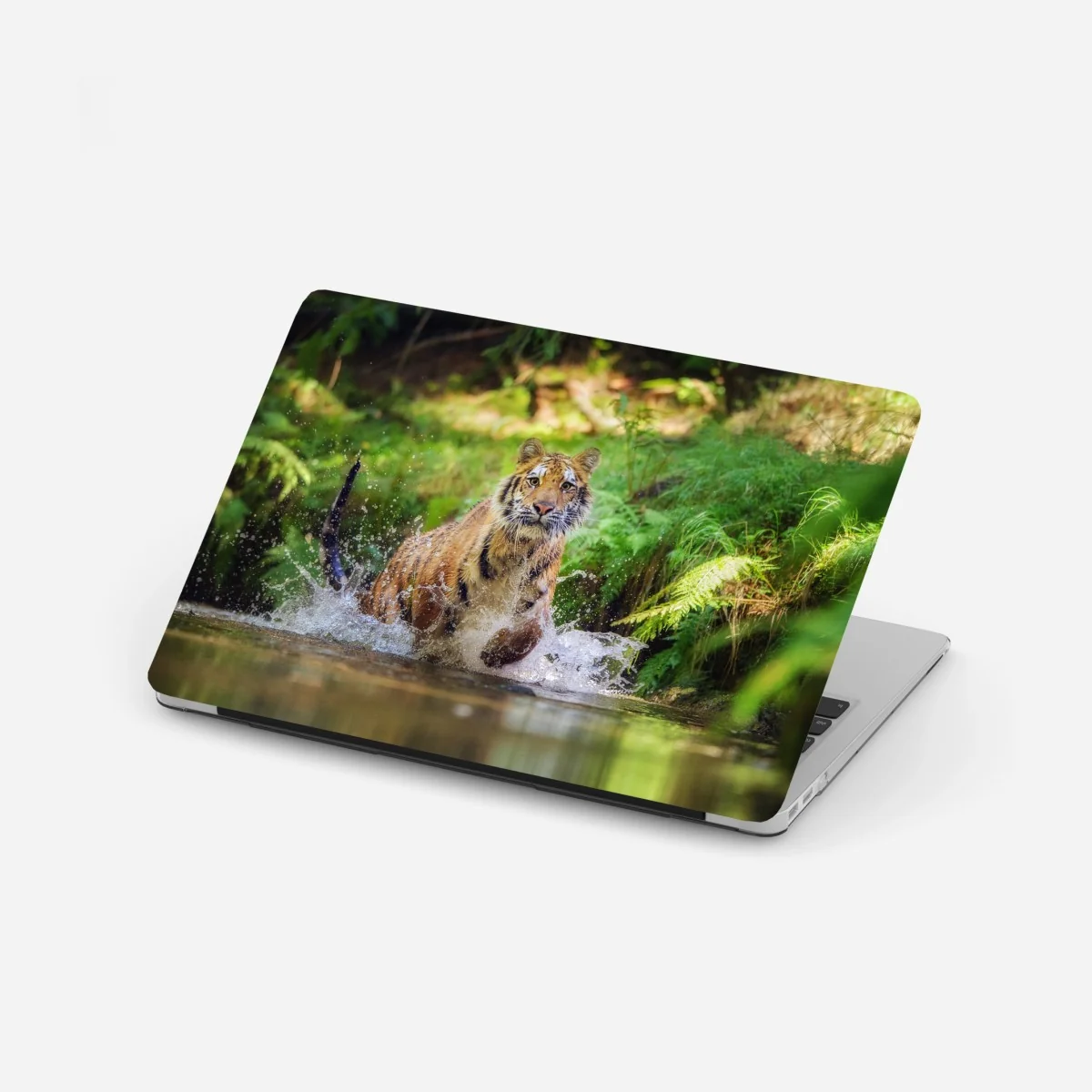 Laptop-Aufkleber majestätischer tiger im waldbach – Wallnifity® Laptop-Aufkleber majestätischer tiger im waldbach – Wallnifity®