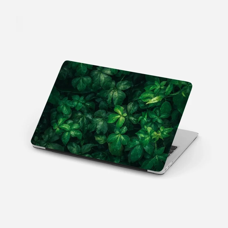 Biophil – Wallnifity®