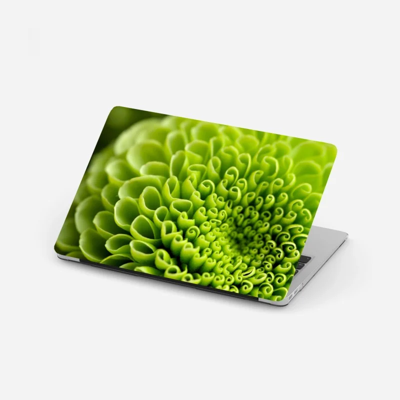 Biophil – Wallnifity®