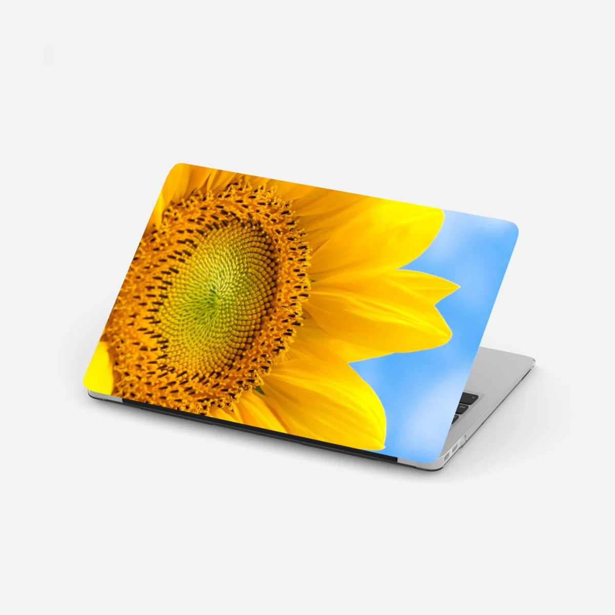 Laptop-Aufkleber leuchtende sonnenblume vor blauem himmel – Wallnifity® Laptop-Aufkleber leuchtende sonnenblume vor blauem himmel – Wallnifity®