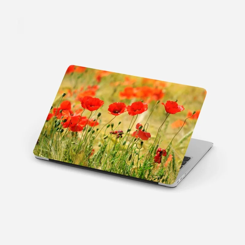 Wiesen – Wallnifity®
