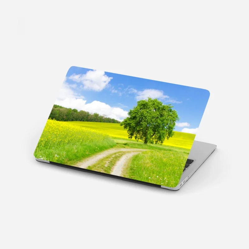 Wiesen – Wallnifity®