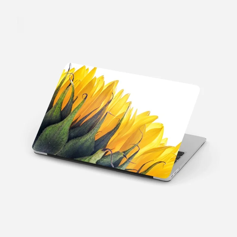 Minimalistisch – Wallnifity®