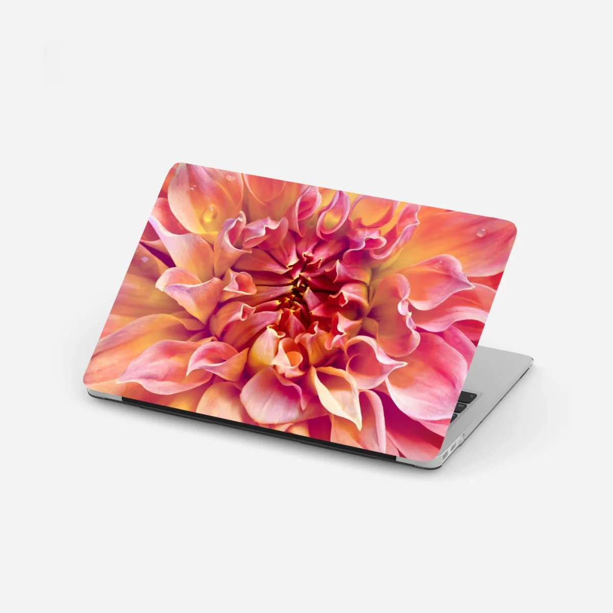 Laptop-Aufkleber rosa dahlie nahaufnahme – Wallnifity® Laptop-Aufkleber rosa dahlie nahaufnahme – Wallnifity®