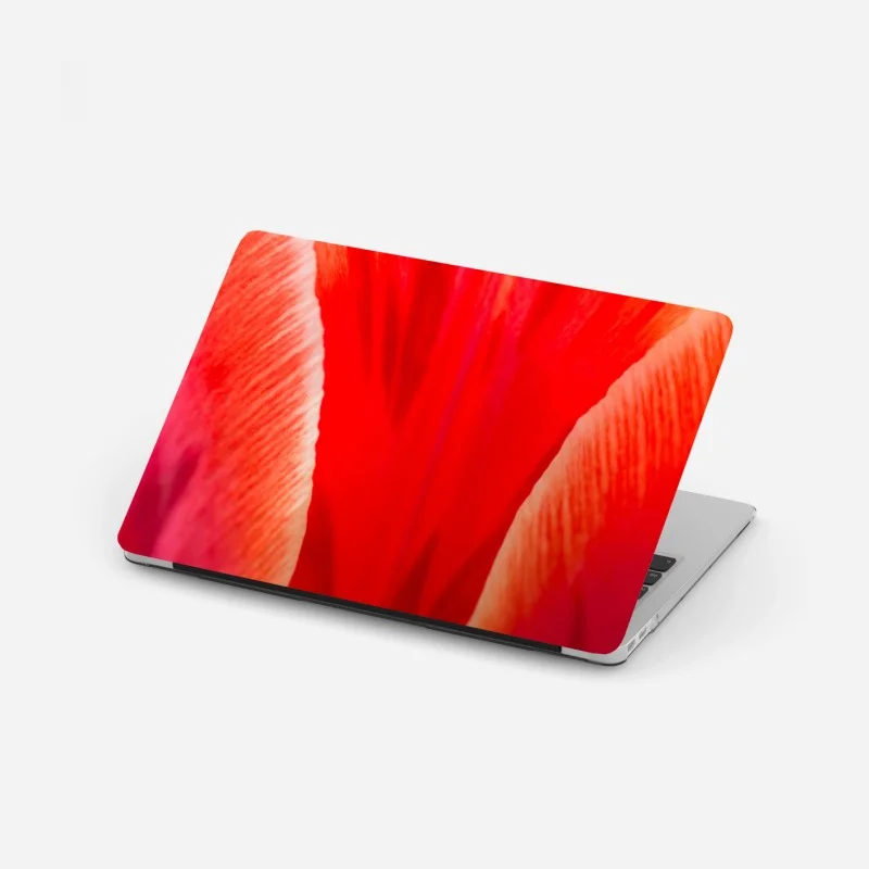 Modern – Wallnifity®