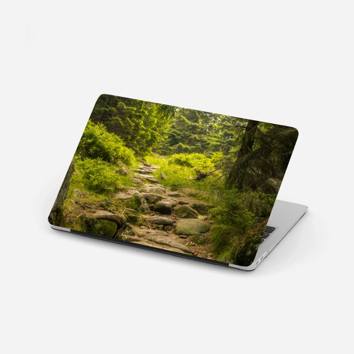 Laptop-Aufkleber ruhiger waldweg durch nadelwald – Wallnifity® Laptop-Aufkleber ruhiger waldweg durch nadelwald – Wallnifity®