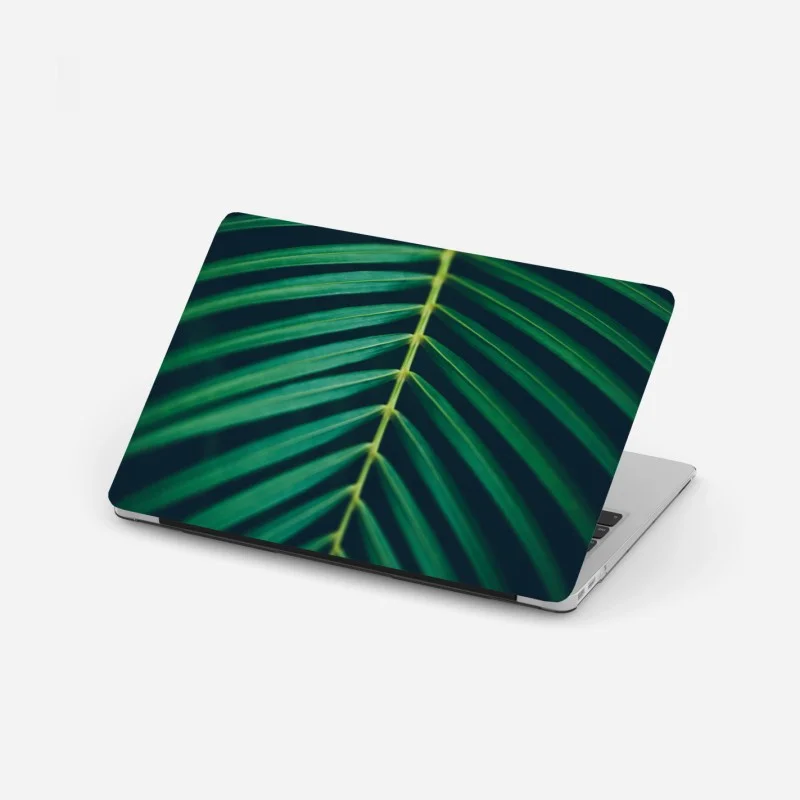 Biophil – Wallnifity®