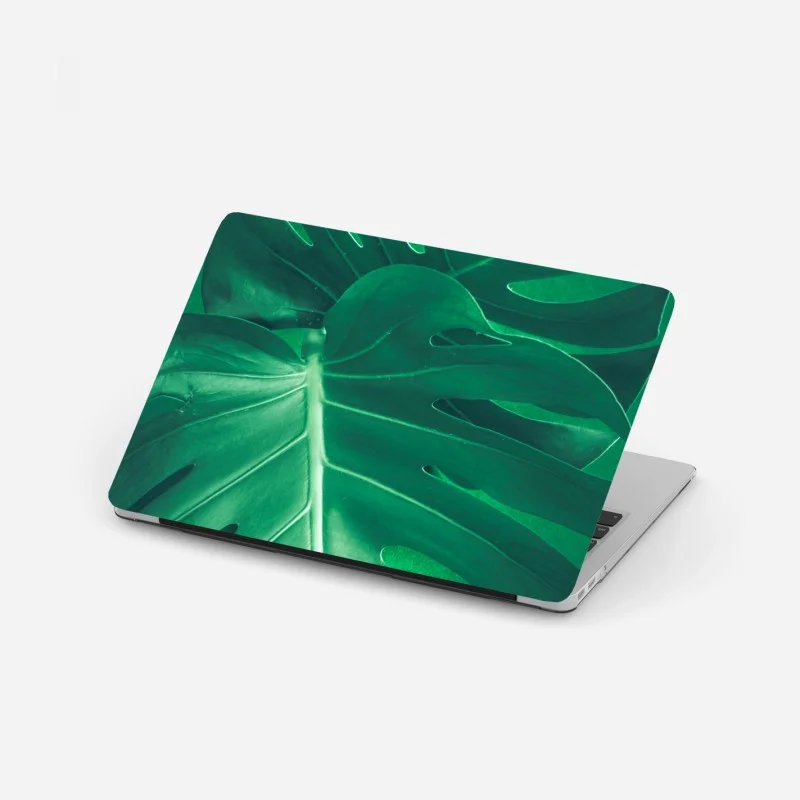 Laptop-Aufkleber prächtiges monstera-blatt nahaufnahme