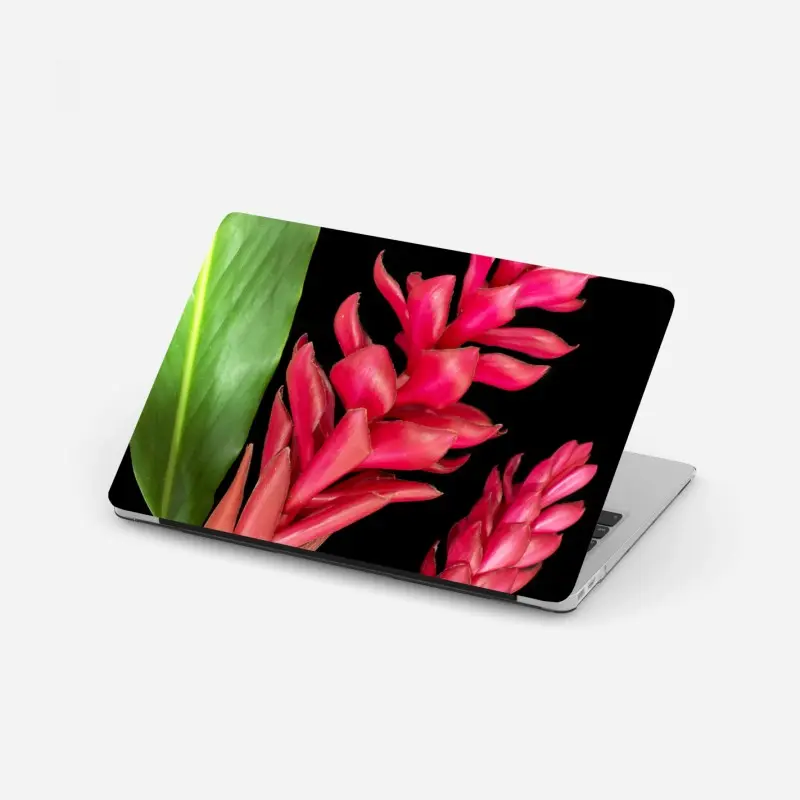 Biophil – Wallnifity®