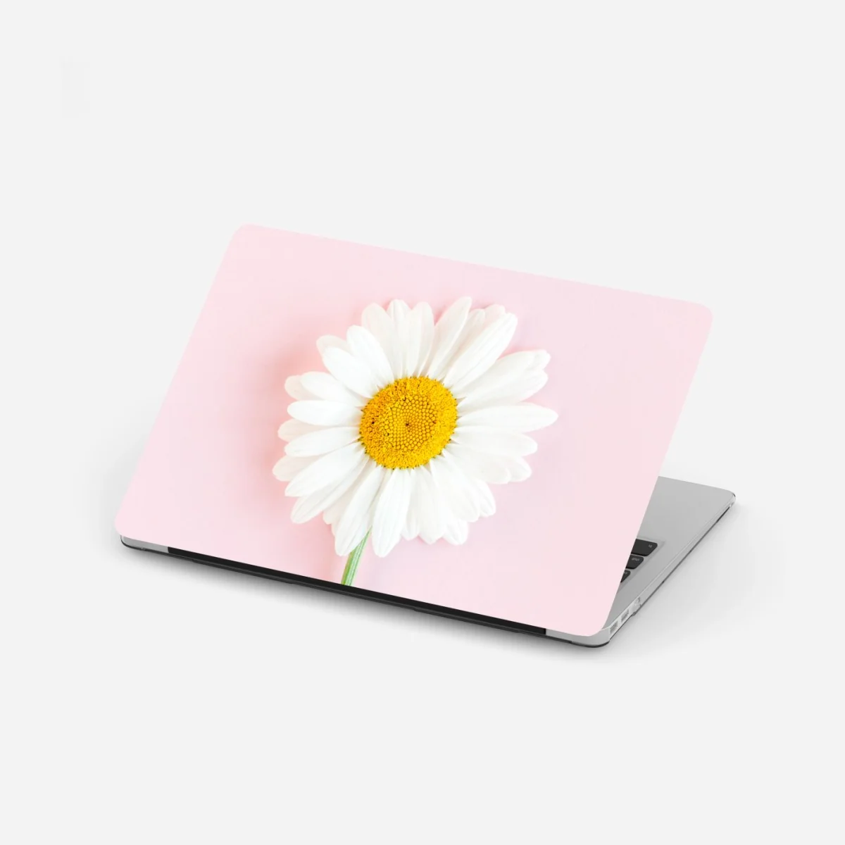 Laptop-Aufkleber weißes gänseblümchen auf pastellrosa hintergrund – Wallnifity® Laptop-Aufkleber weißes gänseblümchen auf pastellrosa hintergrund – Wallnifity®