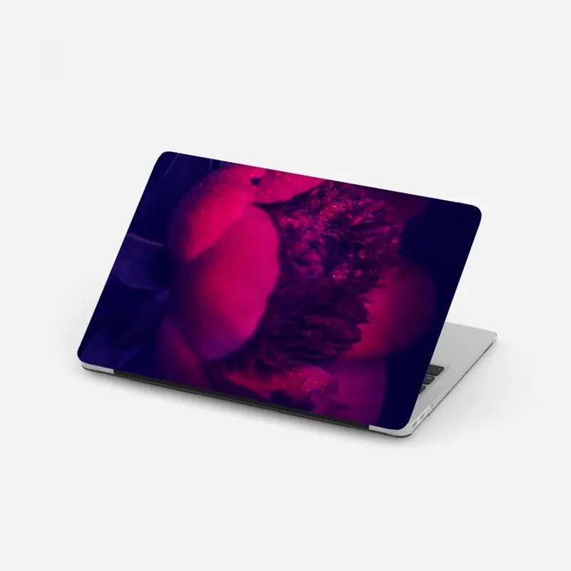 Laptop-Aufkleber stimmungsvolle rosa pfingstrose nahaufnahme