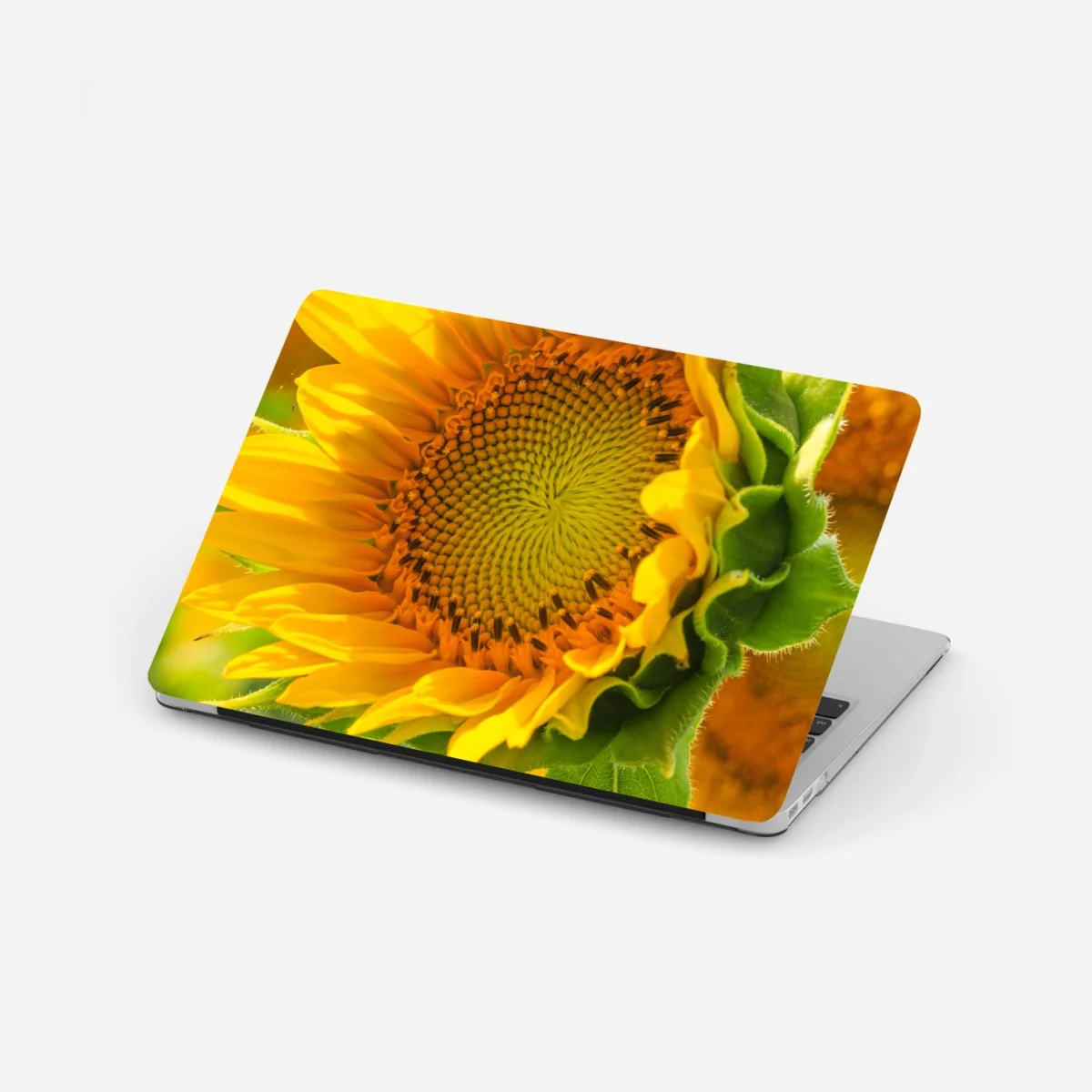 Laptop-Aufkleber sonnenblume nahaufnahme – Wallnifity® Laptop-Aufkleber sonnenblume nahaufnahme – Wallnifity®